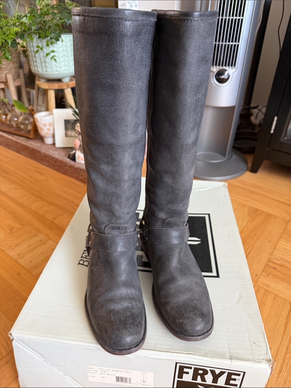 Frye Distressed Phillip Harness Tall Boots! Hard to find color!